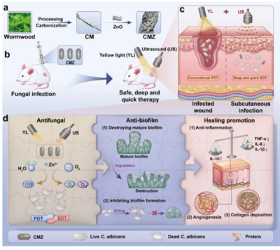 黃光超聲技術 真菌無蹤，腳氣克星的科研實力新突破