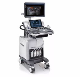 國內超聲影像技術領域的十大技術開發金剛