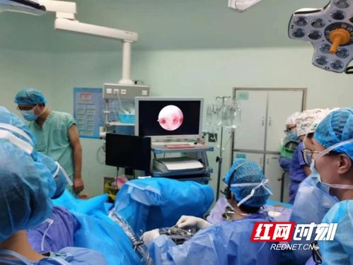 專注超聲技術 江灣醫院赴云南大學附屬醫院共享建院95周年學術會議成果