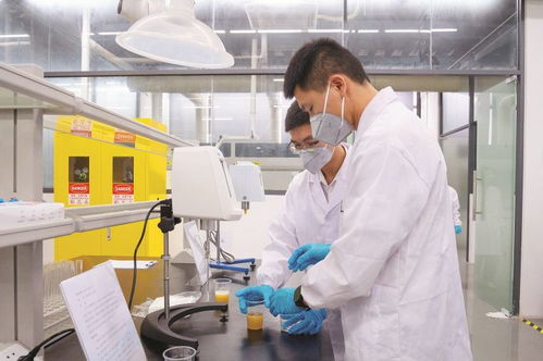 4家代表性省級(jí)重點(diǎn)實(shí)驗(yàn)室及新型研發(fā)機(jī)構(gòu)聚力創(chuàng)新研發(fā) 賦能惠州做強(qiáng) 2 1 現(xiàn)代產(chǎn)業(yè)集群