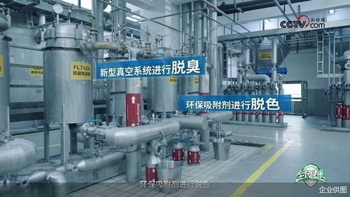 央視網(wǎng)走進多力安心工廠,探尋 降低油煙技術 專利的奧秘